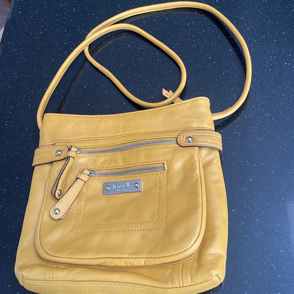 Tignanello Leather Purse
